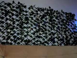 Camsoda Free Porn Cam of tammyandrade