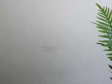 Chaturbate Free Porn Cam of veryveryshygirl
