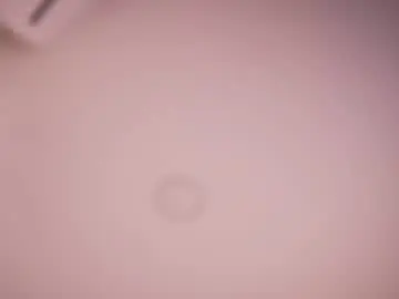 Chaturbate Sex Cam of abby_me