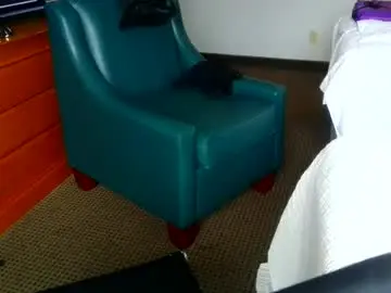 Chaturbate Adult Video Chat of kung_furious