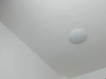 Chaturbate Live Sex of 200gentleman