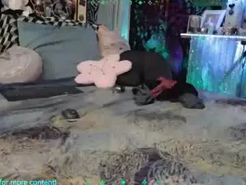Chaturbate Live Sex of xaevynne
