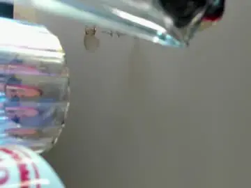 Chaturbate Live Porn of neon_baddie