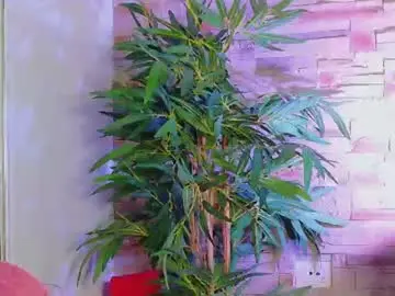 Chaturbate Private Sex Chat of helenceccile