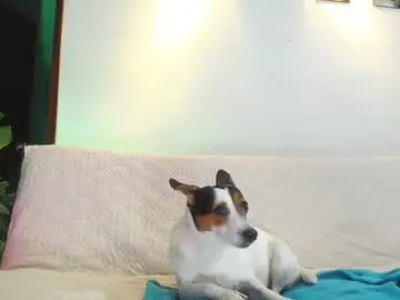 Chaturbate Live Sex Cam of shellsy_hans