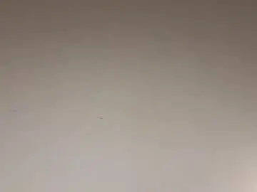 Chaturbate Live Porn of cuteelsa_