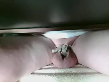 Chaturbate Live Sex of lockedshrimpy