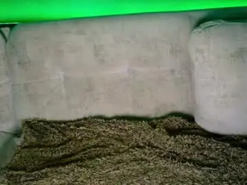 Chaturbate Watch Live Sex Cams of maisonbastian