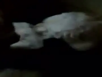Chaturbate Sex Chat of lou_suffer