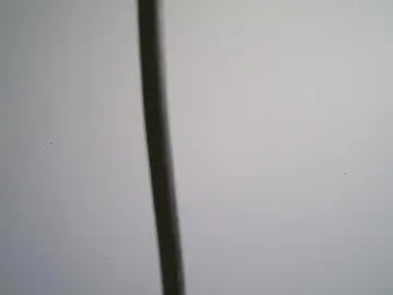 Chaturbate Live Sex Cam of black_tentationx