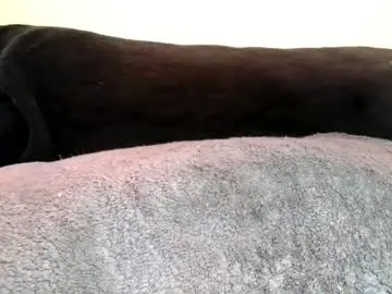 Chaturbate Nude Webcam of daddyyoo8