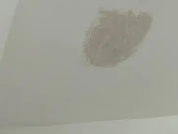 Chaturbate Sex Cam of brant_garcia