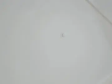 Chaturbate Sex Chat of adelina_bliss