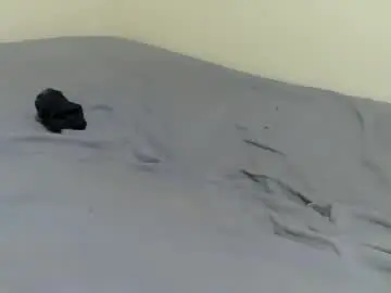 Chaturbate Live Porn of petite_bunni