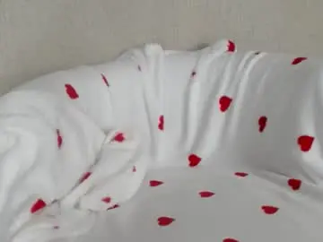 Chaturbate Live Sex Cam of lady_sexyandbeauty