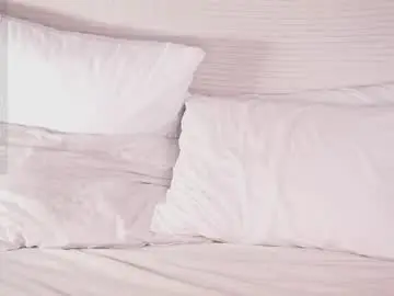 Chaturbate Adult Webcam of alodiaacomb
