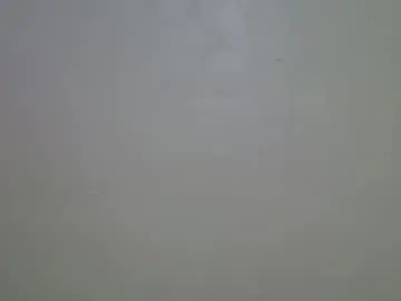 Chaturbate Sex Cam of sexy_ann1