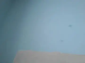 Chaturbate Free Live Porn of hank0009