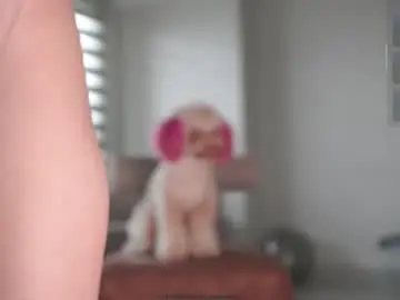 Chaturbate Adult Webcam of belle_adrienne