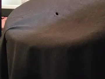 Chaturbate Sex Chat of sweaty_hairy_cocks