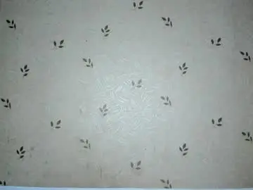 Chaturbate Live Sex Cam of nicoledaviss_