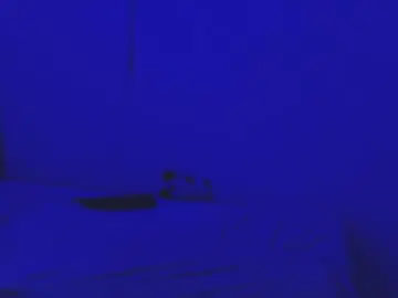 Chaturbate Free Live Porn of sammy_fox26