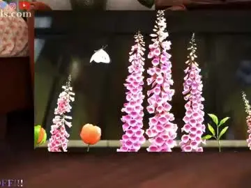 Chaturbate Sex Cam of serareads