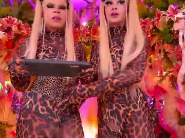 Chaturbate Free Live Porn of spicysluts