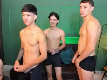 Chaturbate Adult Webcam of party_guyssex