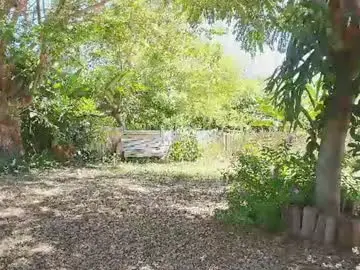 Chaturbate Private Sex Chat of paoguerrax354
