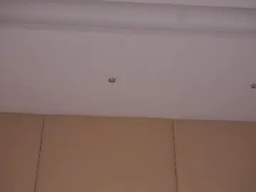Chaturbate Live Sex Cam of taitehambelton