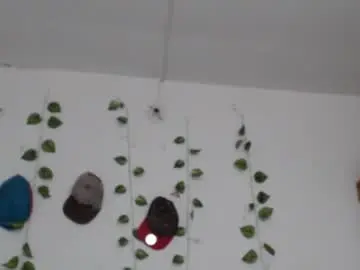 Chaturbate Best Webcam of seley222