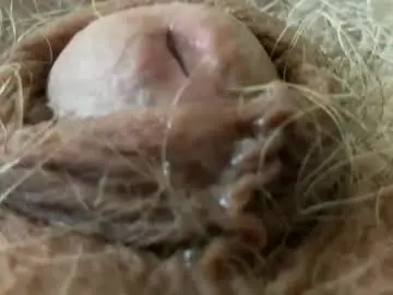 Chaturbate Sex Cam of dotstir