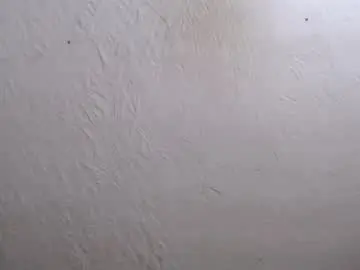 Chaturbate Best live sex cam show of nensyfay_