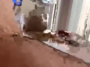 Chaturbate Live Porn of bigswollenhead4u