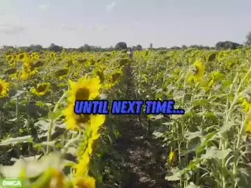 Chaturbate Adult Video Chat of sunflower0907