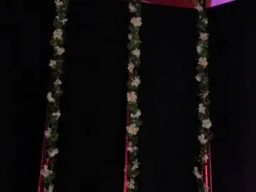 Chaturbate Sex Cam of misstomie_