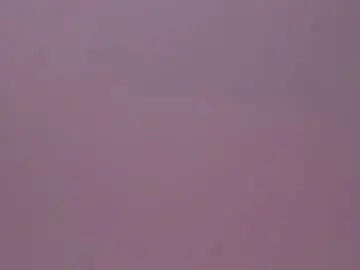 Chaturbate Live Porn of softangelxkisses