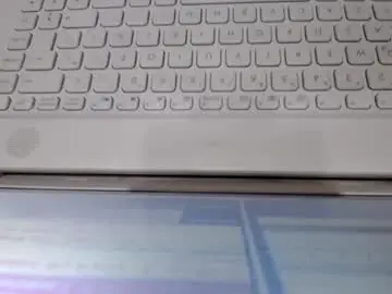 Chaturbate Free Live Porn of alynfoxx