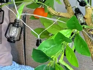 Chaturbate Adult Webcam of sinfulfairy