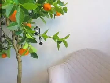 Chaturbate Adult Webcam of sinfulfairy