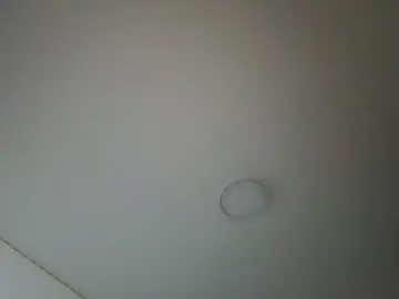 Chaturbate Nude Webcam of im__isabella