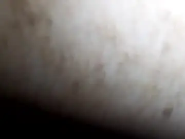Chaturbate Sex Chat of dbras_19