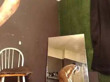 Chaturbate Free Live Porn of bigpussypump