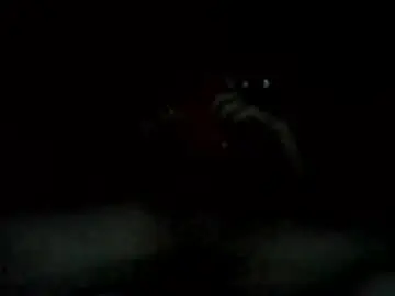 Chaturbate Live Porn of levilarkins3877368