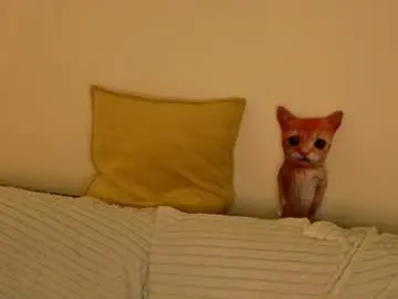 Chaturbate Sex Chat of hettiesalsa
