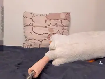 Chaturbate Adult Webcam of neiljungg
