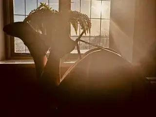 Streamate Watch Live Sex Cams of KatieCarterX