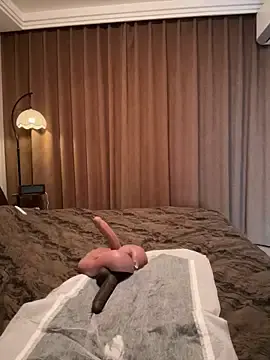 Stripchat Sex Chat of ssaimi