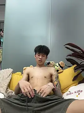 Stripchat Live Sex Cam of KPL-11